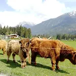 营地 Lechtal Vorderhornbach