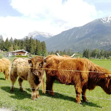 Кемпинг Lechtal Vorderhornbach