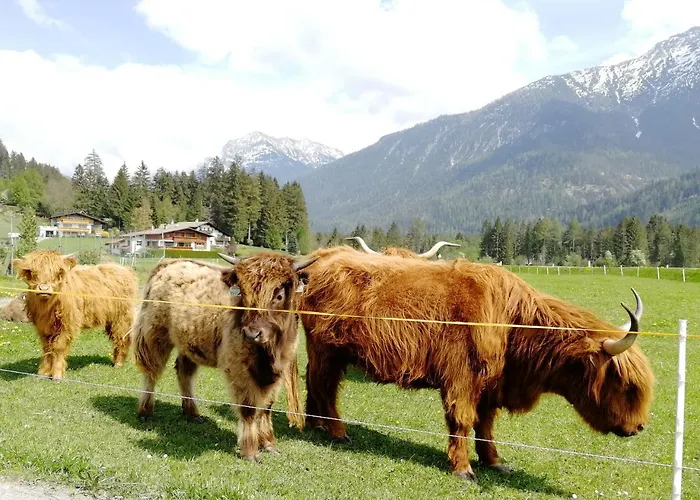 营地 Lechtal Vorderhornbach